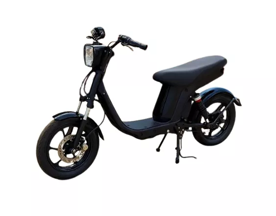 Bicimoto marca Bizochuyzi